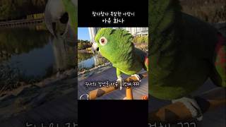 누나랑놀아주기 귀차나서 화난다고 말하는앵무새#아랑이 #…