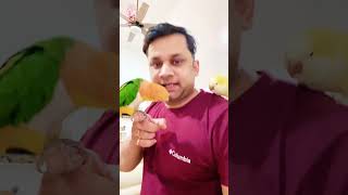 My birds - my most valuable earnings of my life