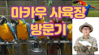 국내 마카우 사육장을 방문하다.