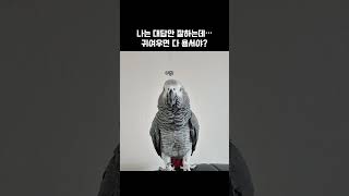 나는 대답만 잘하는데… 귀여우면 다 용서야?