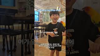 벤츠차 잘파는 이수,이산이 아빠 육아일기 앵무새 카페 …