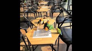 야단법석 카이큐의 목욕시간01