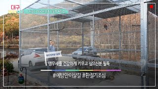 [대구앵무새농장] 환절기 앵무새 호흡기질병 예방하는 방…