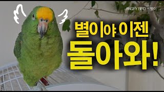 짧지만 잠깐 돌아왔던 별이~ / 시끄럽던 그때로 돌아와…