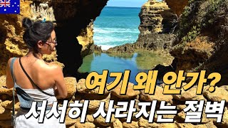 그레이트 오션로드와 징그러운 코카투 앵무새-6