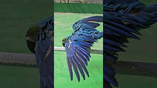 목욕하기좋은날 /청금강 청일이