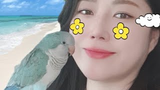 퀘이커앵무새 순도리 (박재란의 둘이서 트위스트)노래 무…