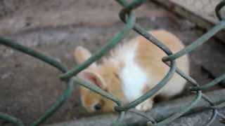 물향기수목원 (Mulhyanggi Arboretum) …