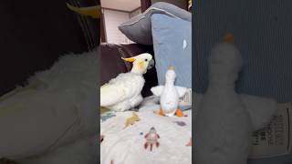 무엇을 상상하든 그 이상✨