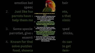 5 Hidden Secrets About Parrots You Never Knew! #facts #animals #shorts