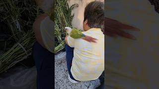 전유진#나비야#앵무새#이쁜이