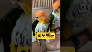 샤워 후 외모체크~~~.              #pa…