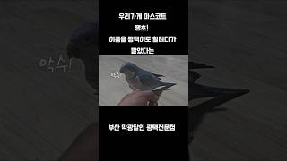 나랑 유일한 말동무 땡초를 소개합니다. ㅋ#퀘이커 #앵…