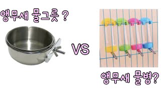 앵무새 물그릇 vs 물병(Feat.황동판)