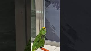 #안녕하세요‍♂️