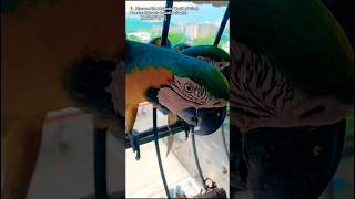  Discover the Majestic World o…