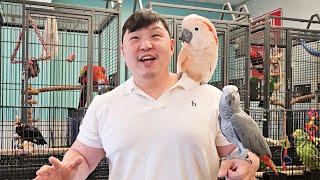 구독자분들께 꼭 보여드리고 싶은 앵무새 조류원!!! 1…