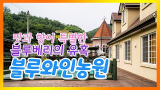 캔와인으로 유명한 영동 블루와인농원
