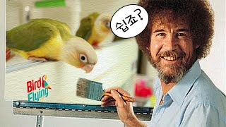 [그린칙코뉴어] 코뉴어 키우는 방법을 알려드립니다! 코…