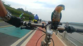 앵무새 카이큐 라이딩