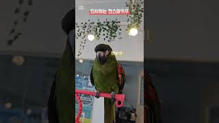  한스마카우, 새로운 가족을 기다리고 있어요!