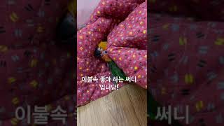 2021년 10월 10일 썬코뉴어#귀여운 #앵무새 #코…