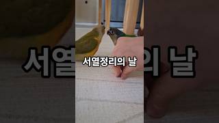 지켜볼수밖에 없는 서열정리싸움