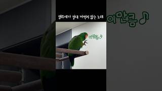 [지구] 앵무새가 절대 까먹지 않는 노래 / 노래하는 …