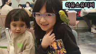 앵무새카페 방문기♡♡♡