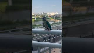 뜻밖의 손님이 감시자 였다면….