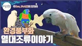 열대조류들이 한 겨울❄️에도 따뜻하게 지낼 수 있는 이…