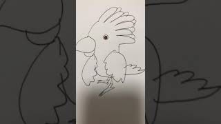 앵무새 그리기!