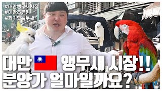 대만 앵무새 분양 입양가 어떻게될까요?? (LIP SEUNG SOO)