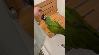 Peanut Butter just popped whil…