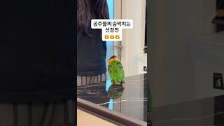 두 여자의 신경전?.         #댄스#shorts…