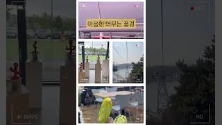 뚝섬,앵무새카페,여수케이블카,노량리,남산타워 배경