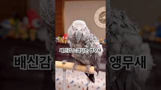 자기한테 누구냐고 물어봐서 배신감 느낀대욬ㅋㅋㅋㅋ