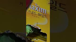 #집을찾다 #아롱이솜씨최고 #말하는앵무새#아마존앵무새 #아롱이 #별이