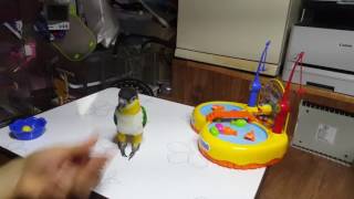 카이큐 강태공만들기!