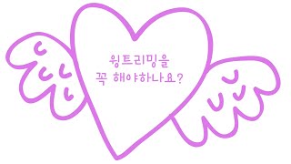 초보 앵집사, 앵무새가 궁금해?(10가지 간단한 Q&a…