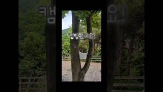 ▪︎신난다 이윈디 #반려새 #반려조 #코뉴어 #앵무새 …