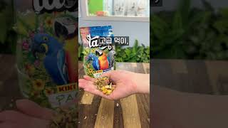 신제품 키키 입고! 간단하게 1분 요약설명 들어갑니다,…