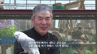 역전의 부자농부 37회 - 앵무새