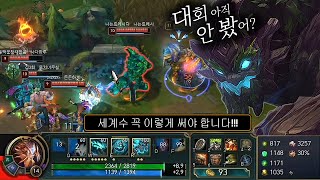 탱템만 올렸는데 딜량 왜 이래?? 그야말로 세계수, 마…