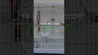 앵무가 나올수 있다는걸…누구도 몰랐다.. #music …