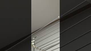 귀농귀촌 아마존앵무새 말하고놀기