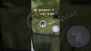 엄마심장 녹이는 목소리로 #말하는앵무새 #한스마카우 율…