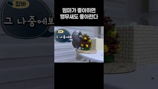 엄마가 좋으면 앵무새도 좋아한다  회색앵무 잠바