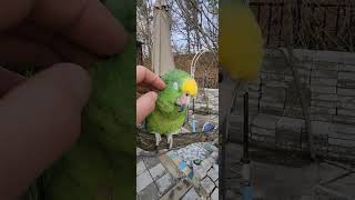 아빠.아직 겨울이야? 너무 추워!