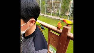 버드파크 썬코뉴어